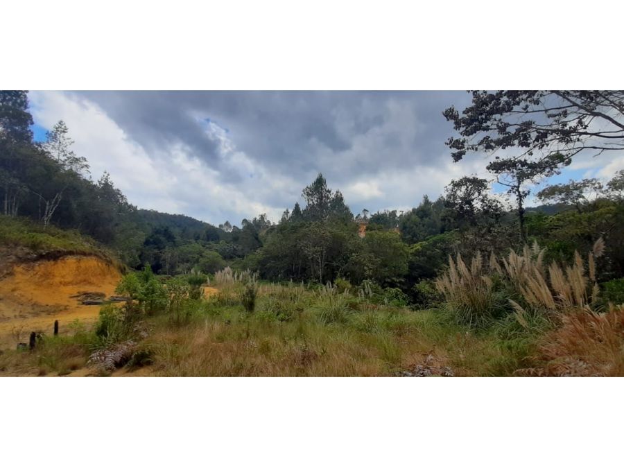 Residential Lot for Sale in Altos del Escobero